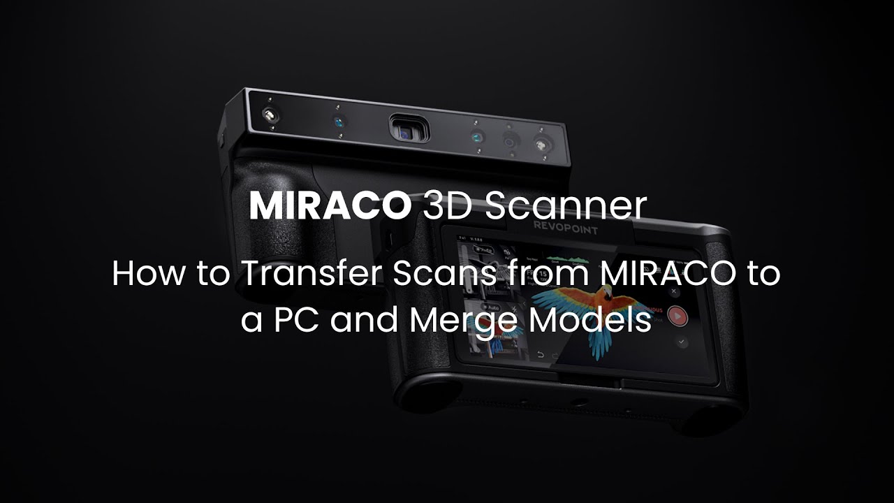 Transfer and Merge Models