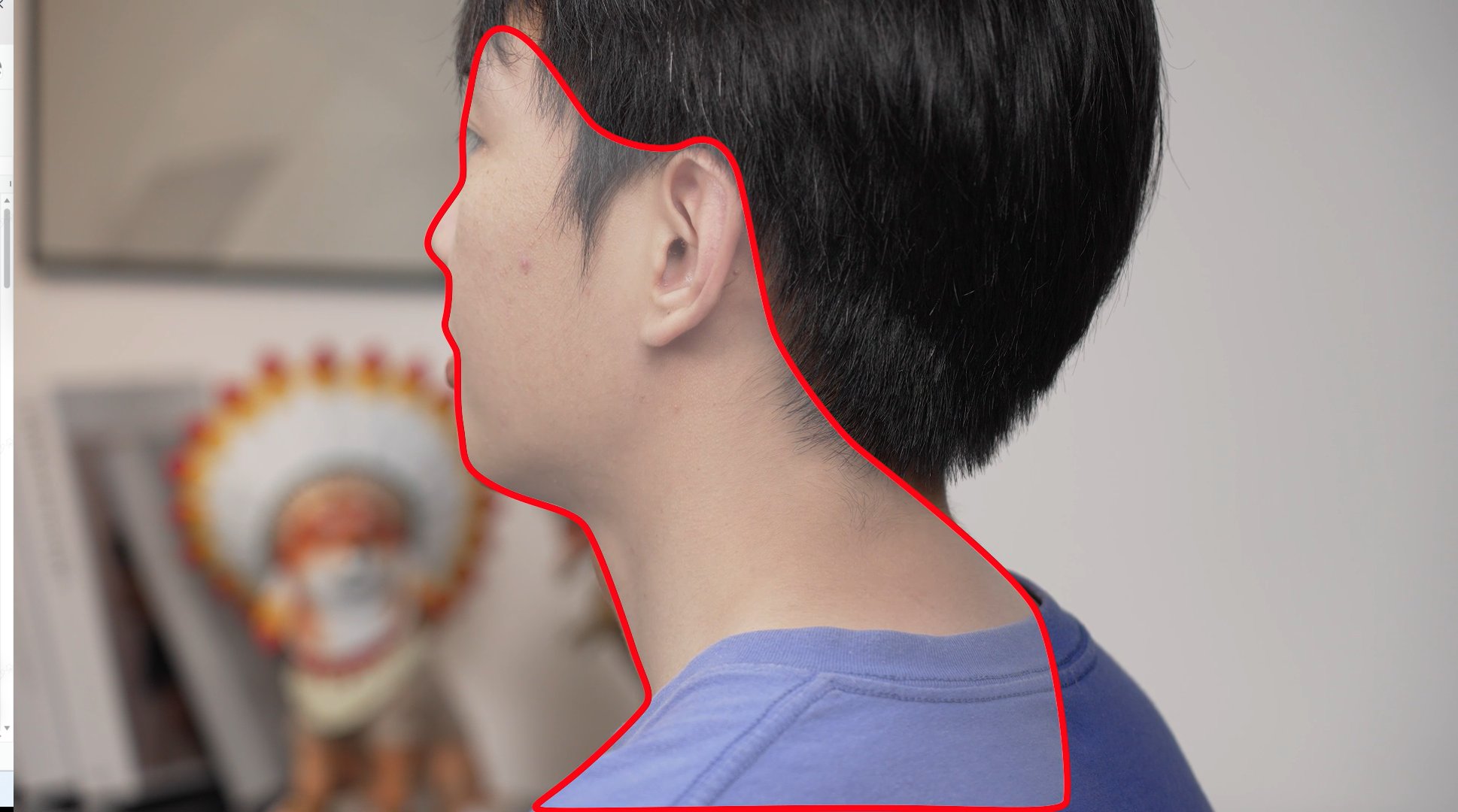 人脸扫描技巧.png